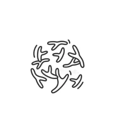 Bifidobacterium BIFIDIUM