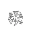 Bifidobacterium BIFIDIUM