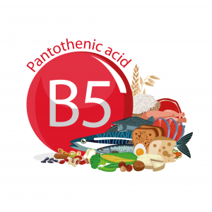 Vitamine B5 (acide pantothénique) - NATURAMedicatrix