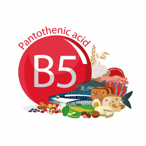 Vitamine B5 (acide pantothénique)