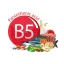 Vitamine B5 (acide pantothénique)