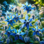 Borage