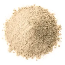 Bifidobacterium-Laktis