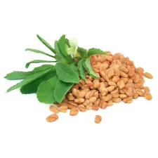 Fenugreek