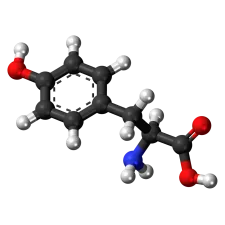 Tyrosine — NATURAMedicatrix