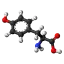 Tyrosine