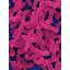Lactobacillus Speichel