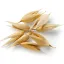 Oats