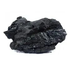 Vegetable coal