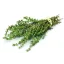 Thyme
