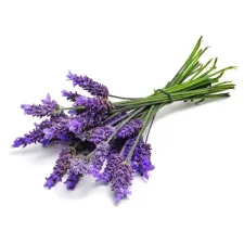 Lavender: our products | NATURAMedicatrix
