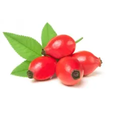 Rosehip