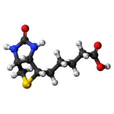 Biotin: unsere Nahrungsergänzungsmittel | NATURAMedicatrix