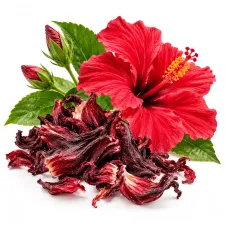 Hibiskus: Hibiskusblüte und Produkte | NATURAMedicatrix