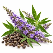 Chaste tree (Vitex agnus-castus): supplements | NATURAMedicatrix