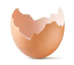 The egg membrane 