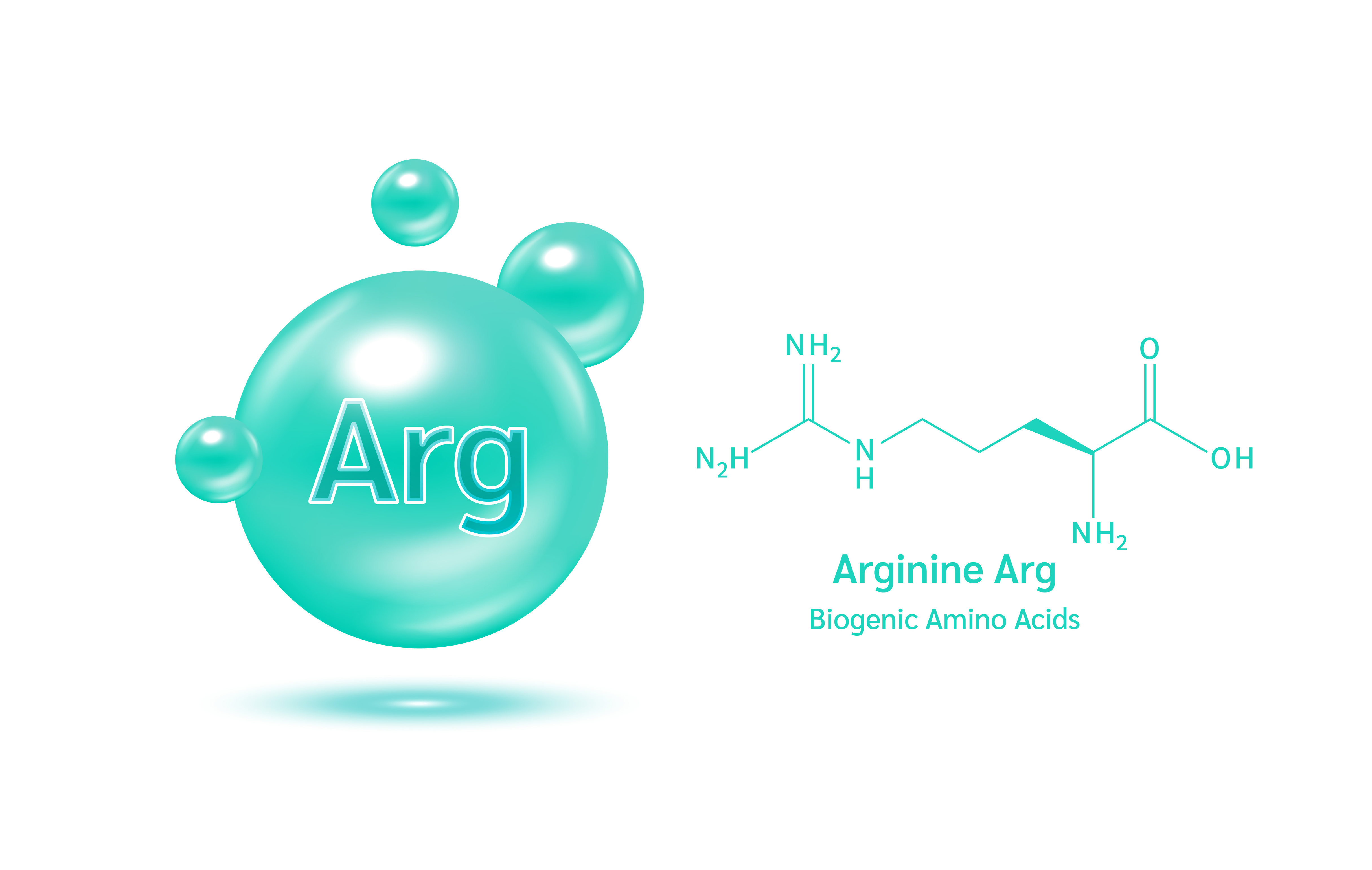 Arginine 