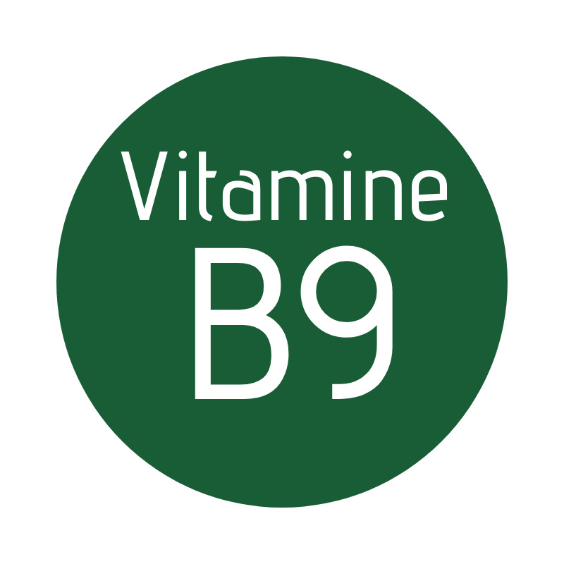 Vitamine B9 (acide folique)