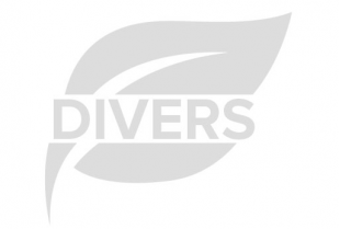 Categorie Divers