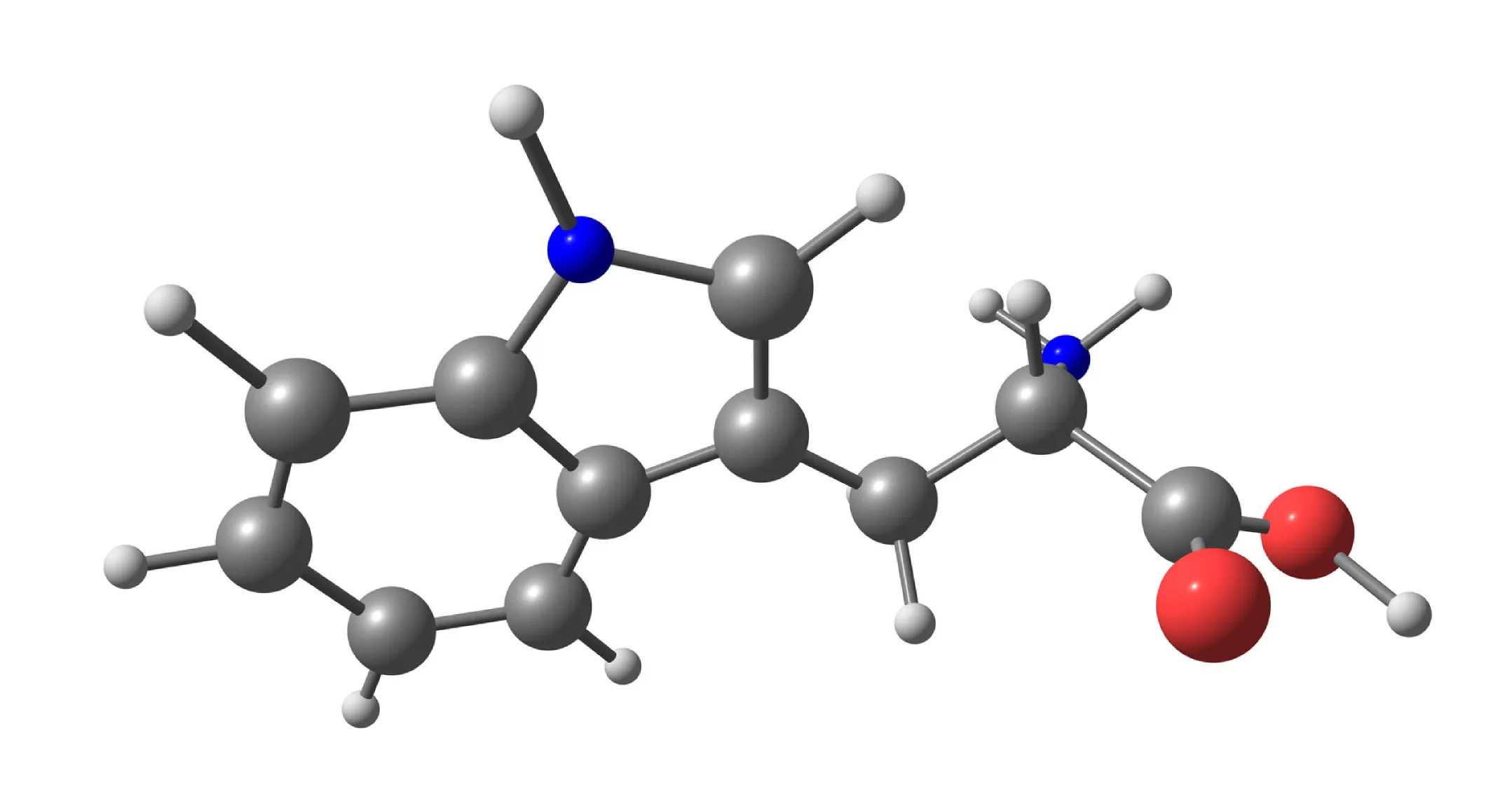 Tryptophan