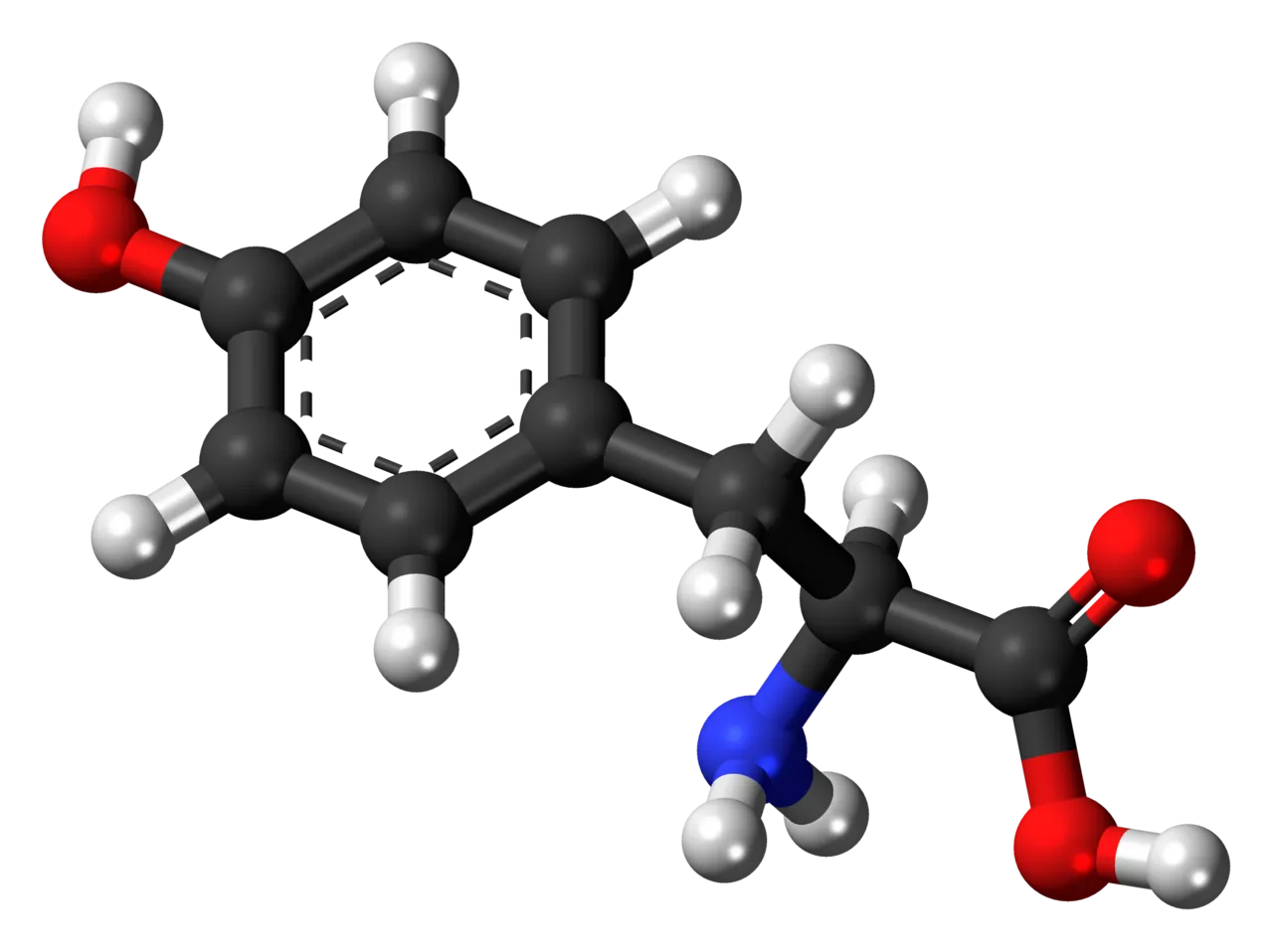 Tyrosine