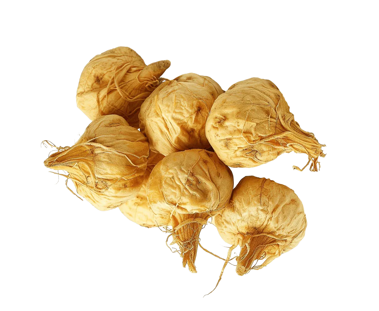 Maca