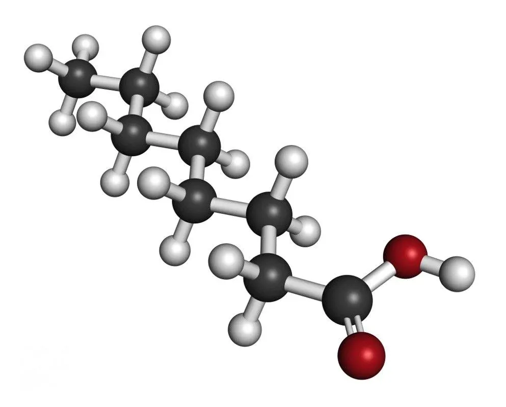 Acide caprylique