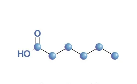 Acide caprique