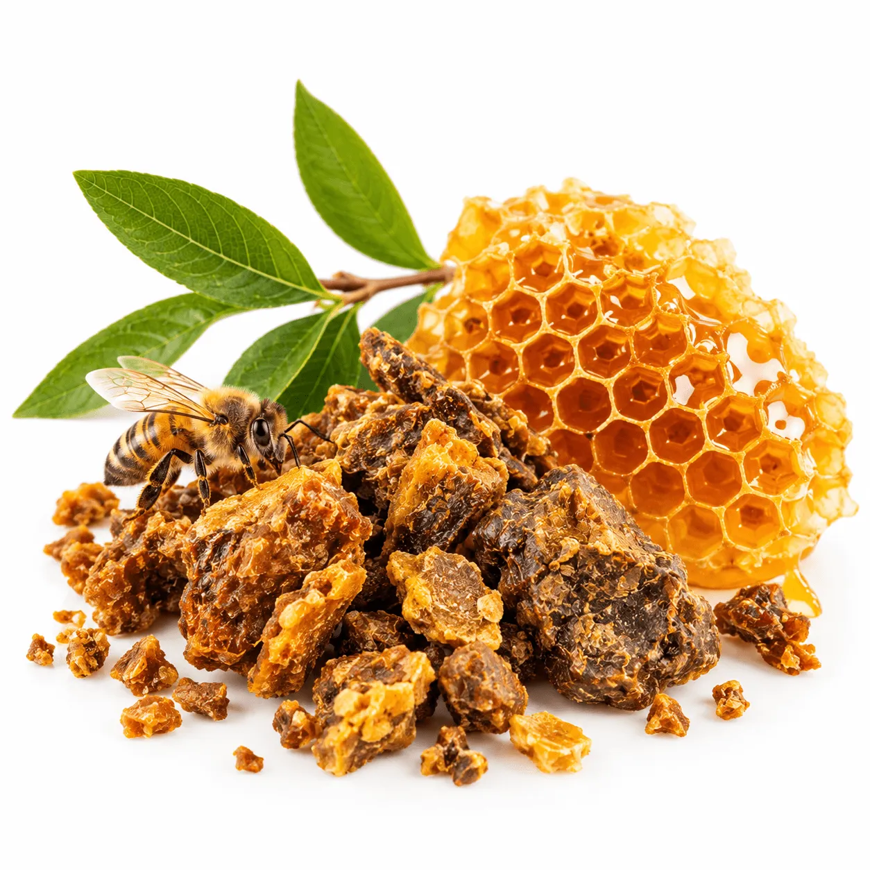 Propolis