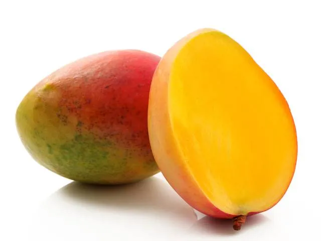 Mangue