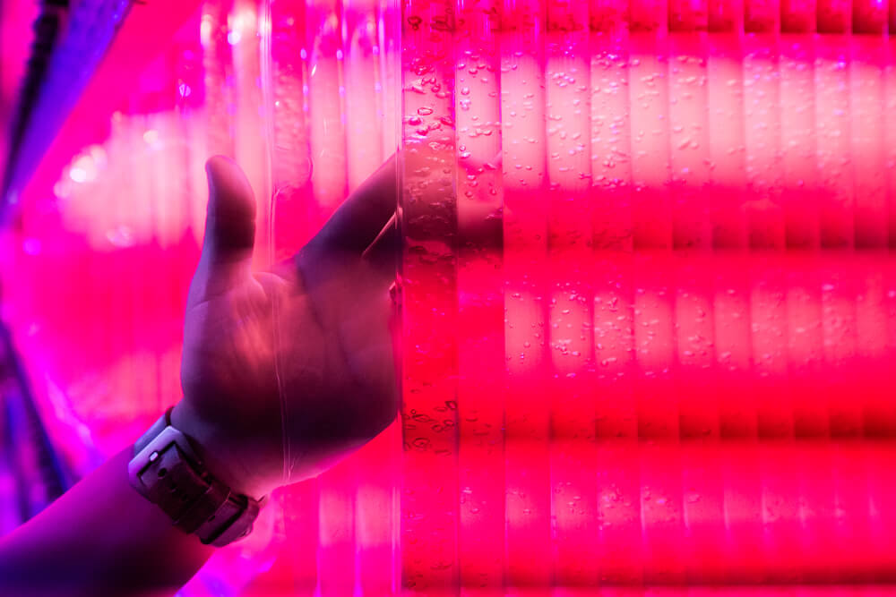 Bioréacteur utilisé pour la culture des microalgues