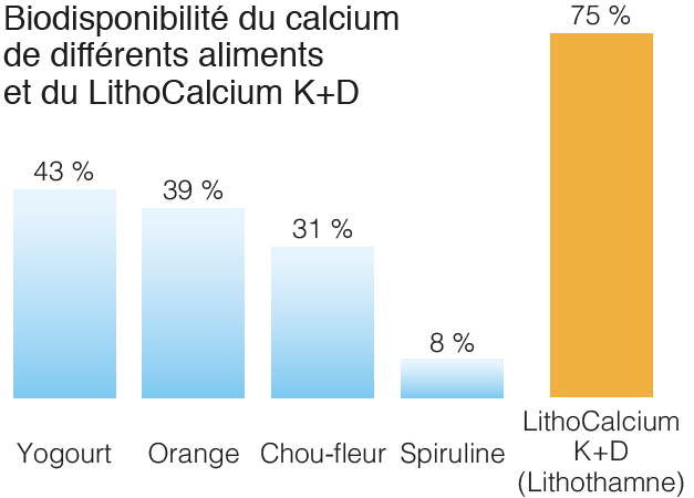 Biodisponibilité du calcium de différents aliments et du LithoCalcium K+D