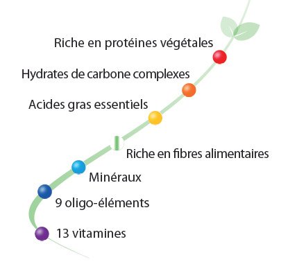 Le concept Aminobase