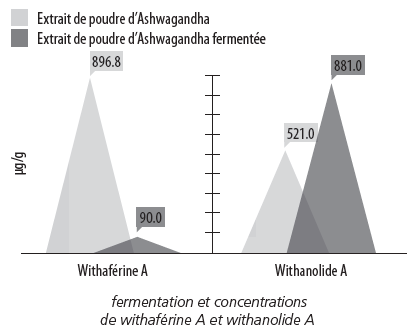 ashwaganda figure 4