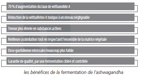 ashwaganda figure 4