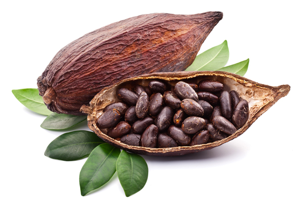 Cacao