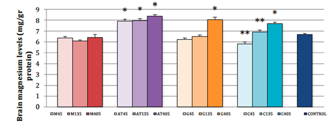 Brain magnesium levels