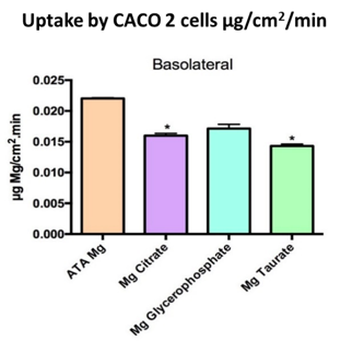 Uptake by CACO 2 cells µg/cm2/min