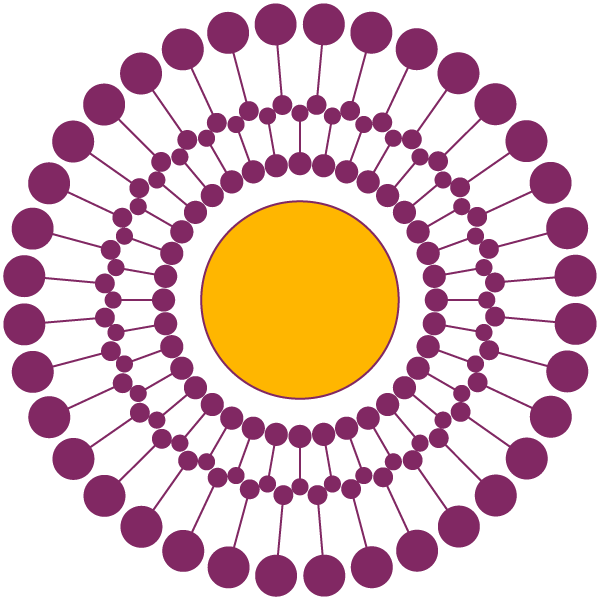 Liposome