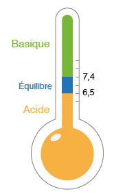 Schema Equilibre Acido-Basique