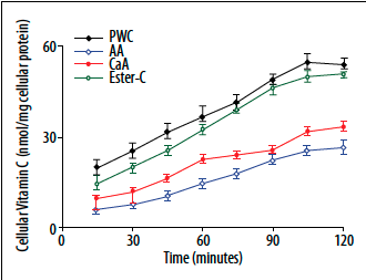 Comparaison de la biodisponibilité de PureWay-C avec différentes formes de vitamine C