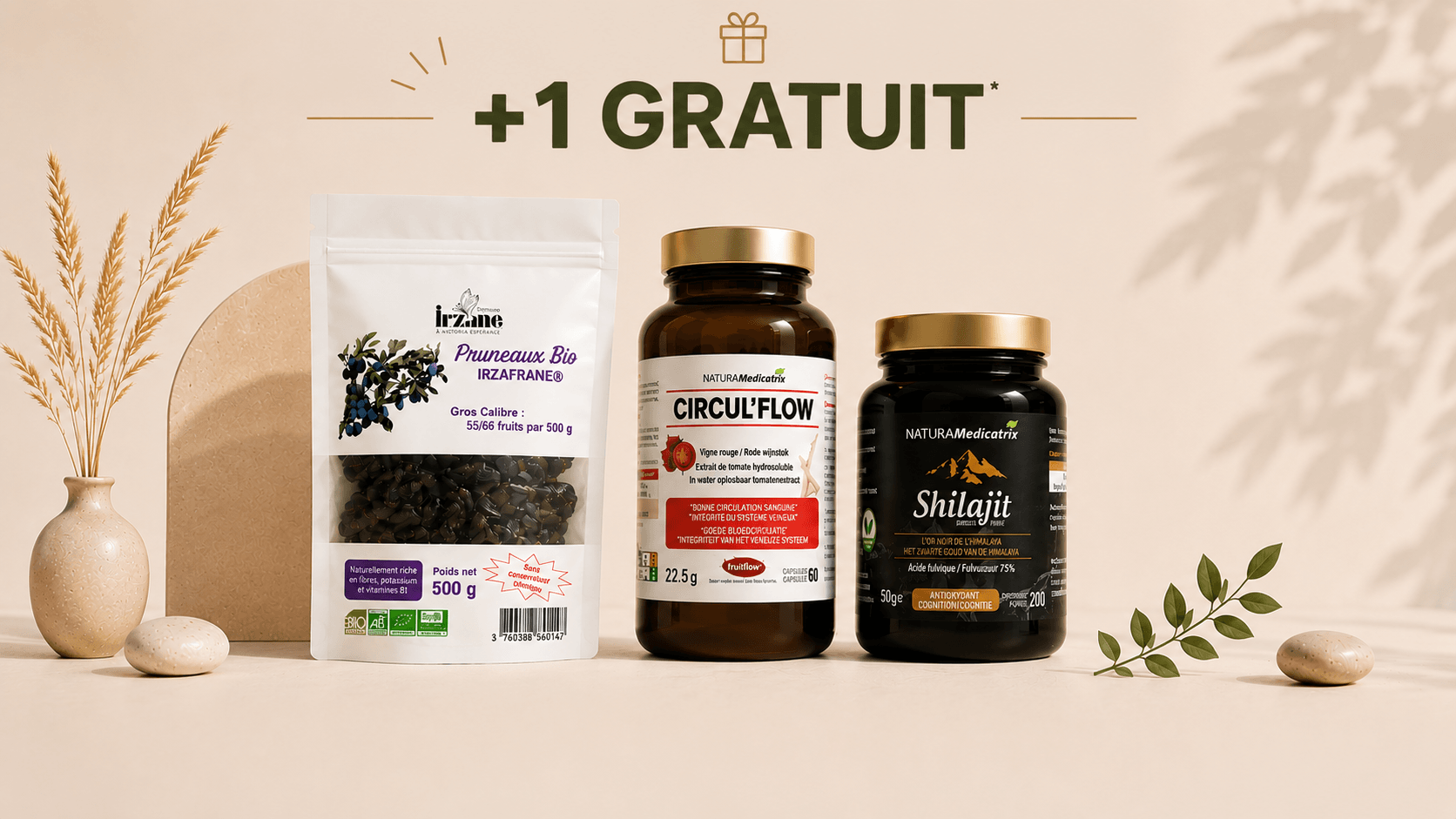 + 1 GRATUIT