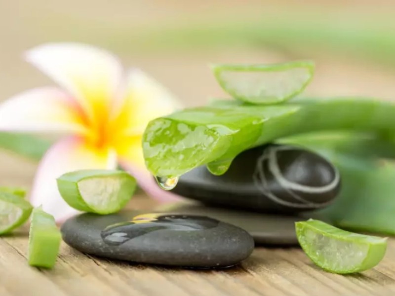 Recettes de soins du visage, de la peau et du corps à base d'Aloe vera