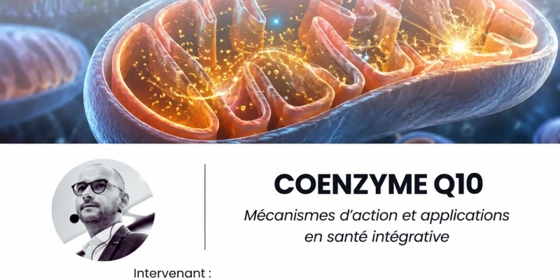 Coenzyme Q10 - Mécanisme d'action et applications en santé intégrative