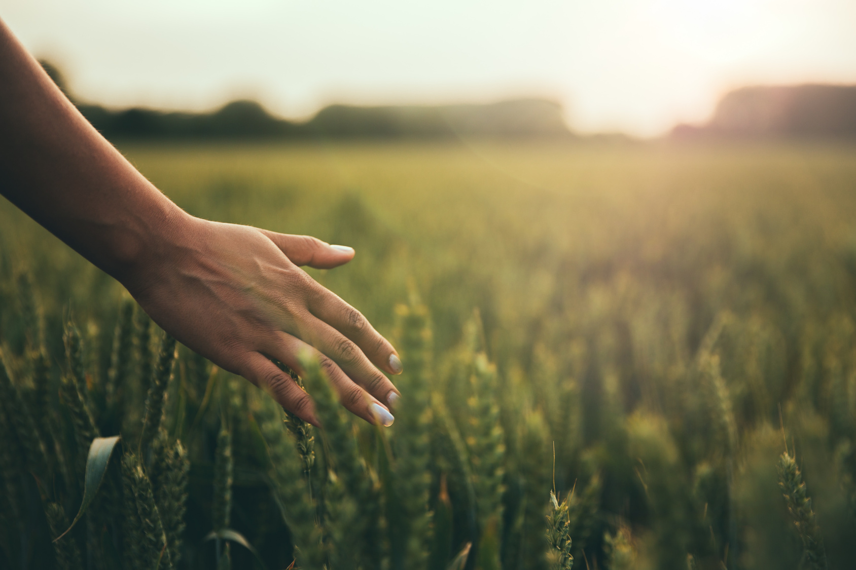 NATURAMedicatrix - compléments alimentaires et micronutrition