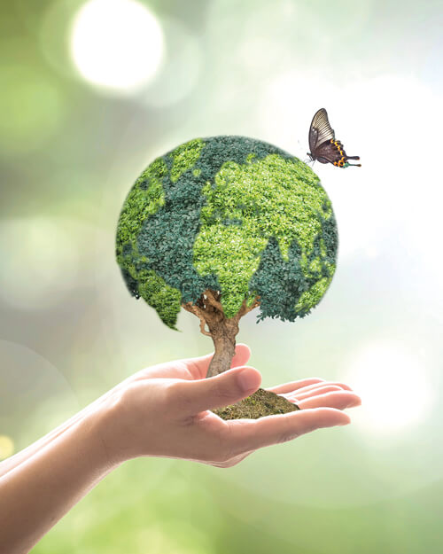 Dr. Jacob's® - Intégrité et concepts innovants qui s’inspirent de la nature